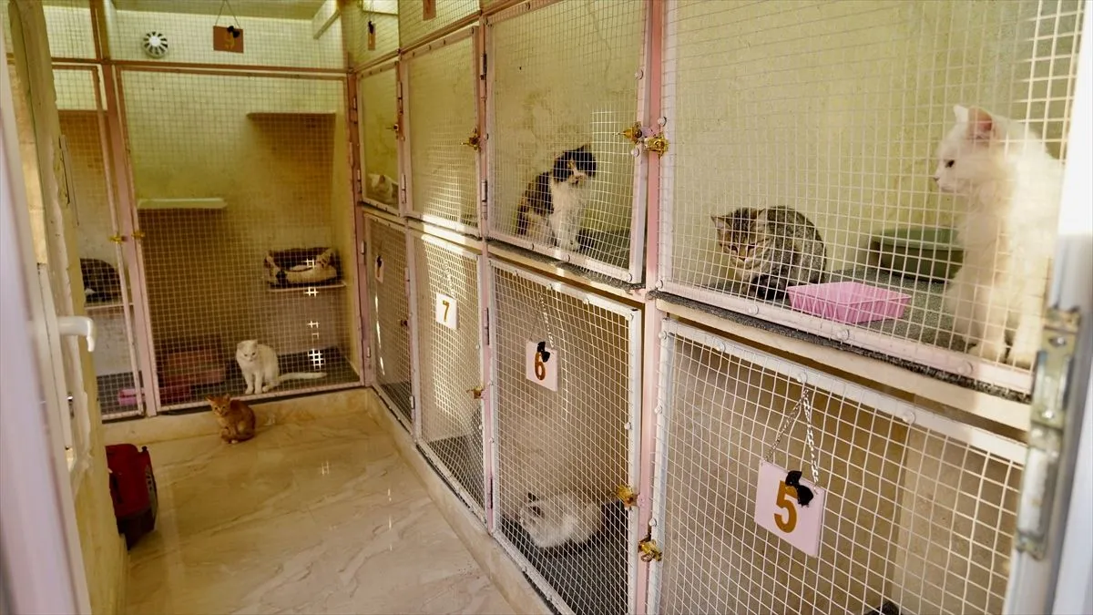 Objekat ima kapacitet za 40 mačaka i raspolaže posebnim sobama za svaku životinju.