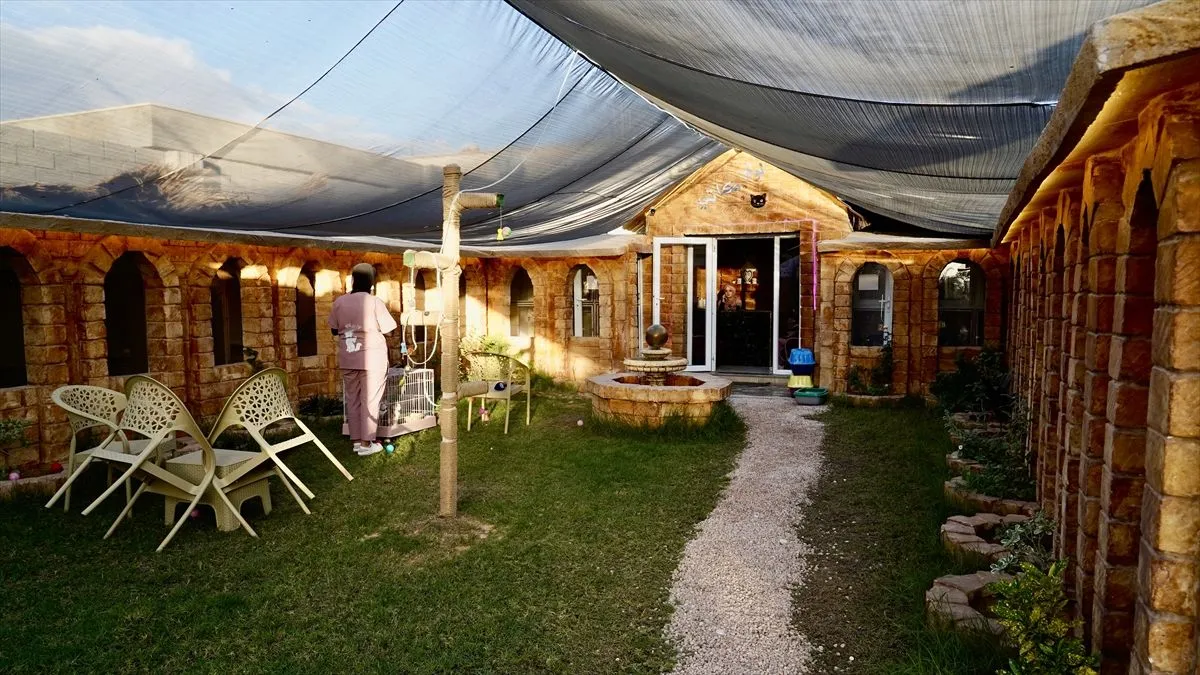 Objekat ima kapacitet za 40 mačaka i raspolaže posebnim sobama za svaku životinju.