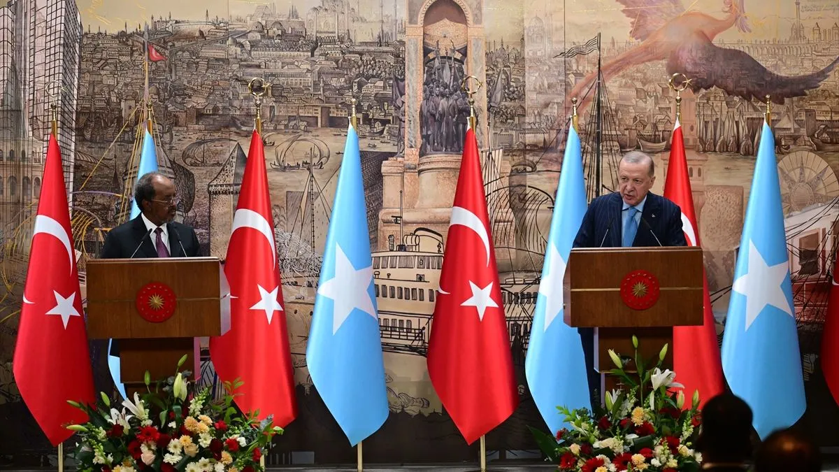 Erdogan: Izraelska odluka da prizna Somaliland je neprihvatljiva!