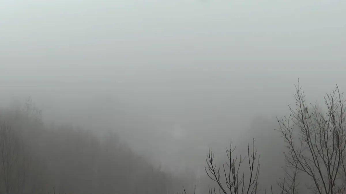  Zdravstveni aspekt posebno zabrinjava, a građani ističu da vlasti ne razumiju ozbiljnost problema. 