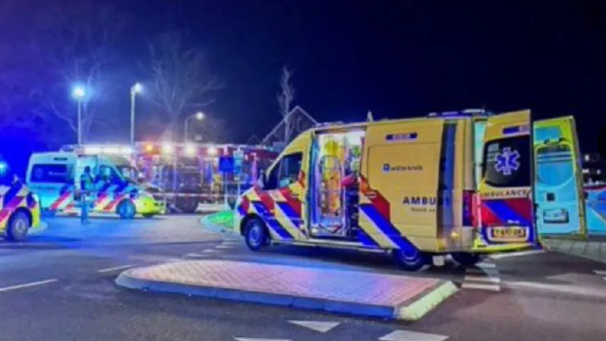 Svjedoci kažu da su ljudi na koje je automobil naletio stajali uz put čekajući prolazak parade.