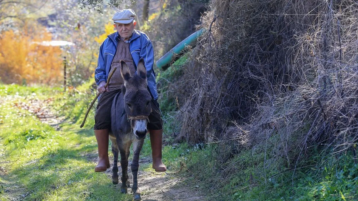Raif je vid potpuno izgubio u dvadesetoj godini života           