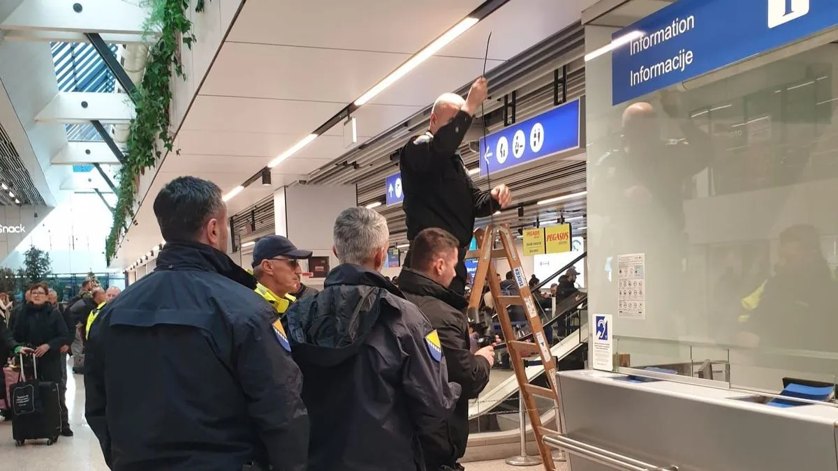 Za putnicu let iz Sarajeva propao zbog potrage za ruskom plavom mačkom