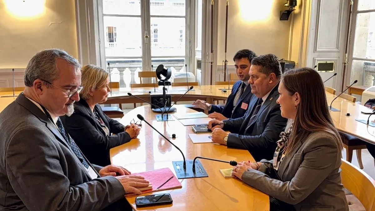 Francuske vlasti tolerišu: Kondić-Panić otuđila diplomatske tablice koje pripadaju Ambasadi BiH