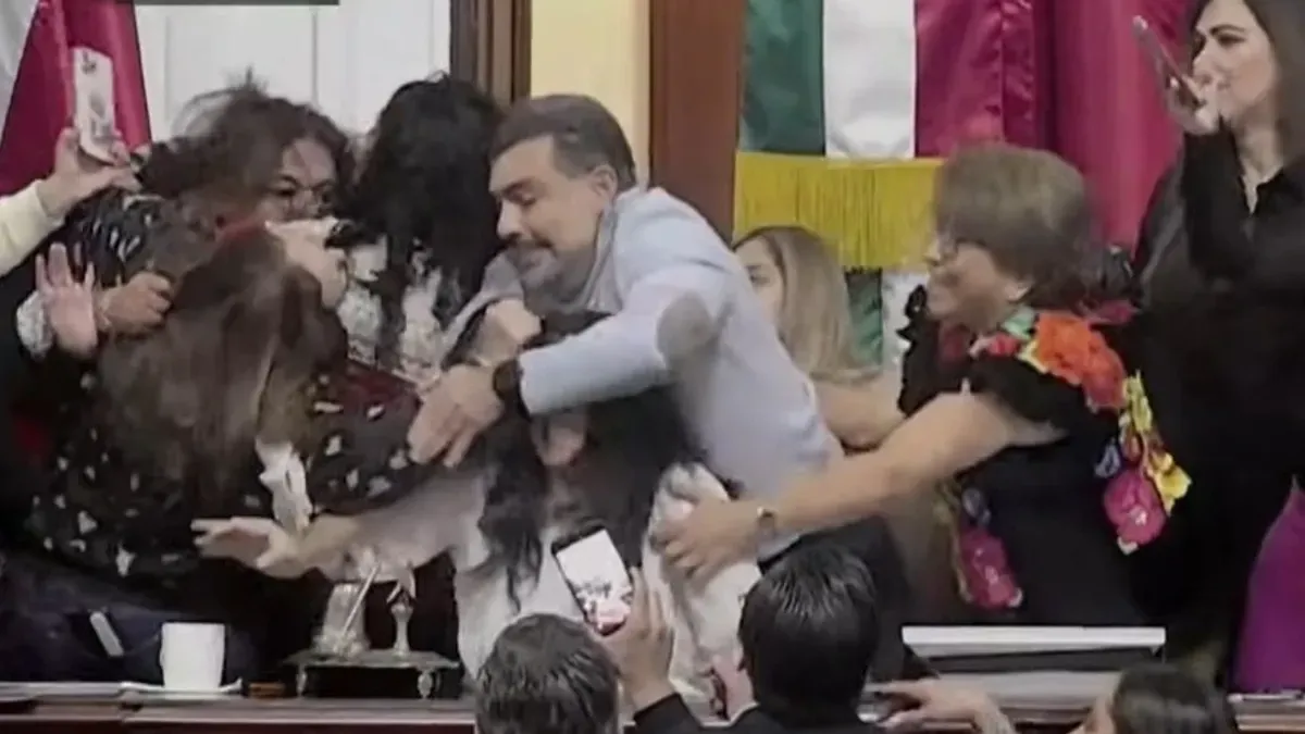 Umjesto parlamentarnih argumenata, sjednica je obilježena čupanjem kose, gurkanjem i razmjenom udaraca