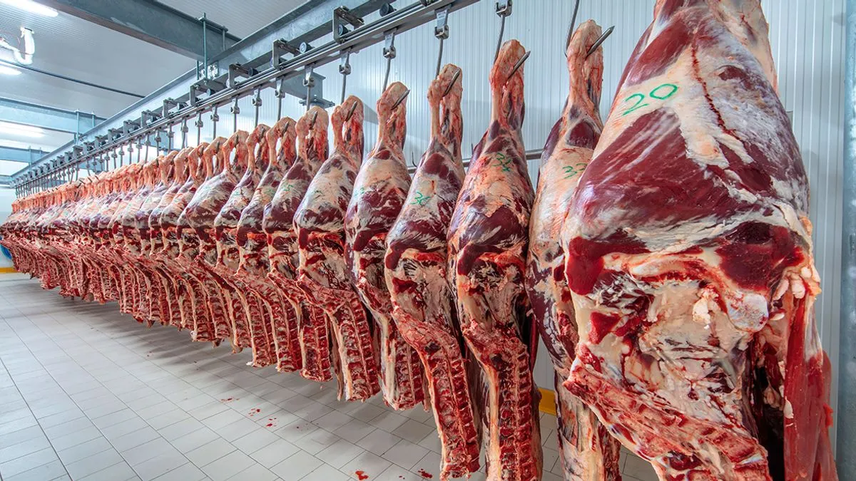 Preko milijardu KM za uvoz mesa, mlijeka i jaja: BiH 'guši' domaću poljoprivredu