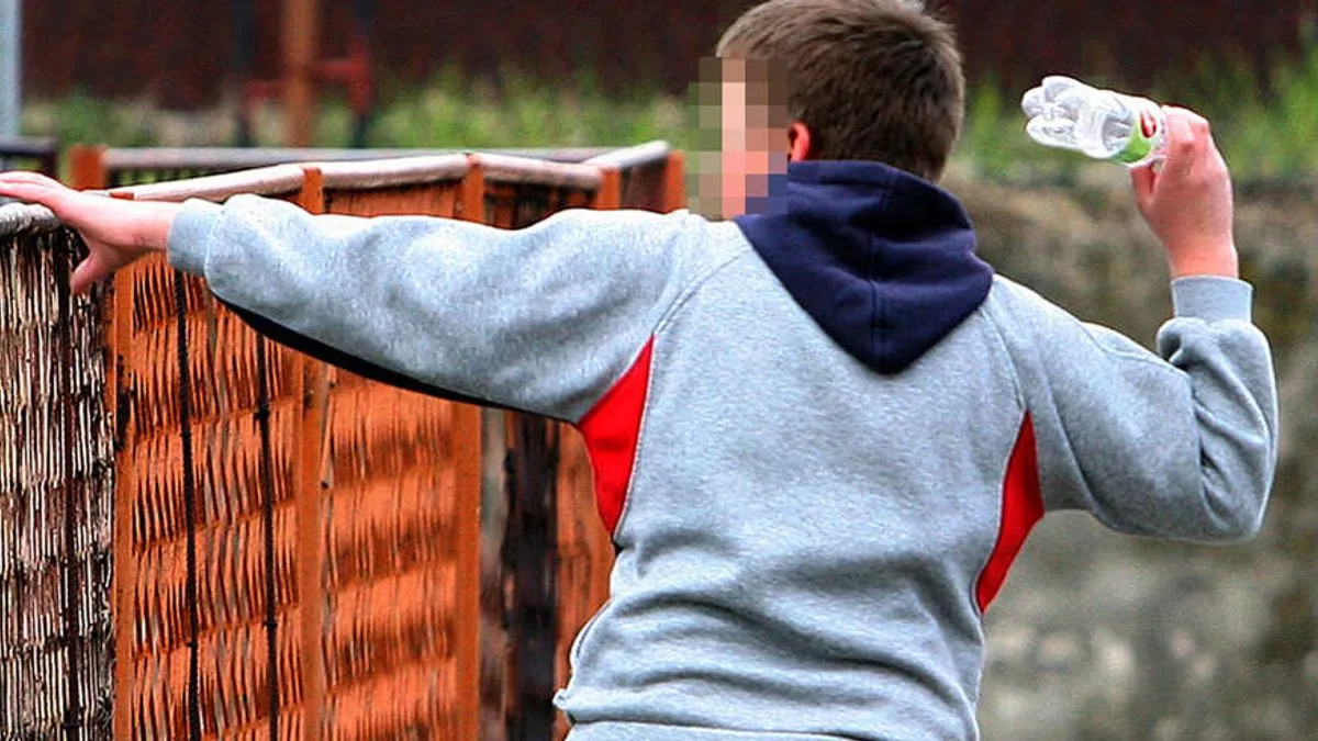 Dječak V.M. (14) u subotu je preživio jeziv napad vršnjaka F.G. (14) koji mu je ispred prodavnice na Voždovcu (Srbija) zario nož u grudi.