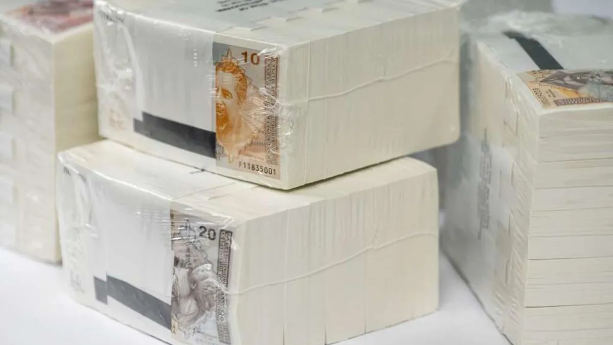 Od 1. januara 2026. do 31. decembra 2035. godine zamjenu će obavljati Centralna banka BiH