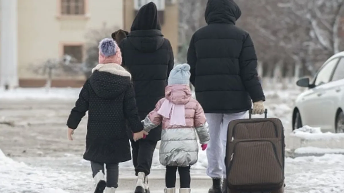 Faktori koji doprinose padu nataliteta, pored masovnih migracija, uključuju lošu ekonomsku situaciju, ali i trendove odgađanja roditeljstva