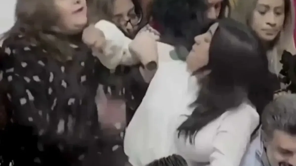 Umjesto parlamentarnih argumenata, sjednica je obilježena čupanjem kose, gurkanjem i razmjenom udaraca