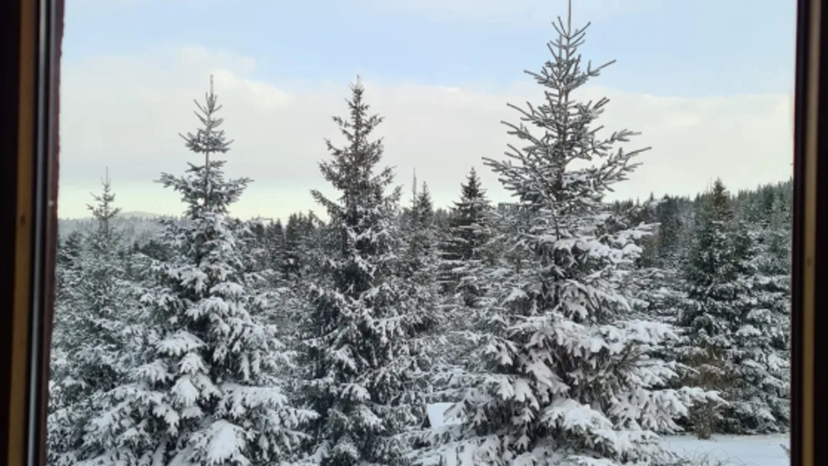 Vatrogasci su brzo izašli na teren i lokalizovali vatru te spriječili njeno dalje širenje