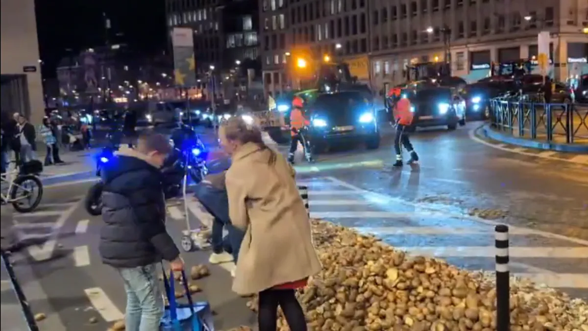 Nakon što su protesti okončani velike količine krompira i dalje su ostale na cesti, a to su iskoristili građani Brisela te su pokupili krompir za vlastite potrebe