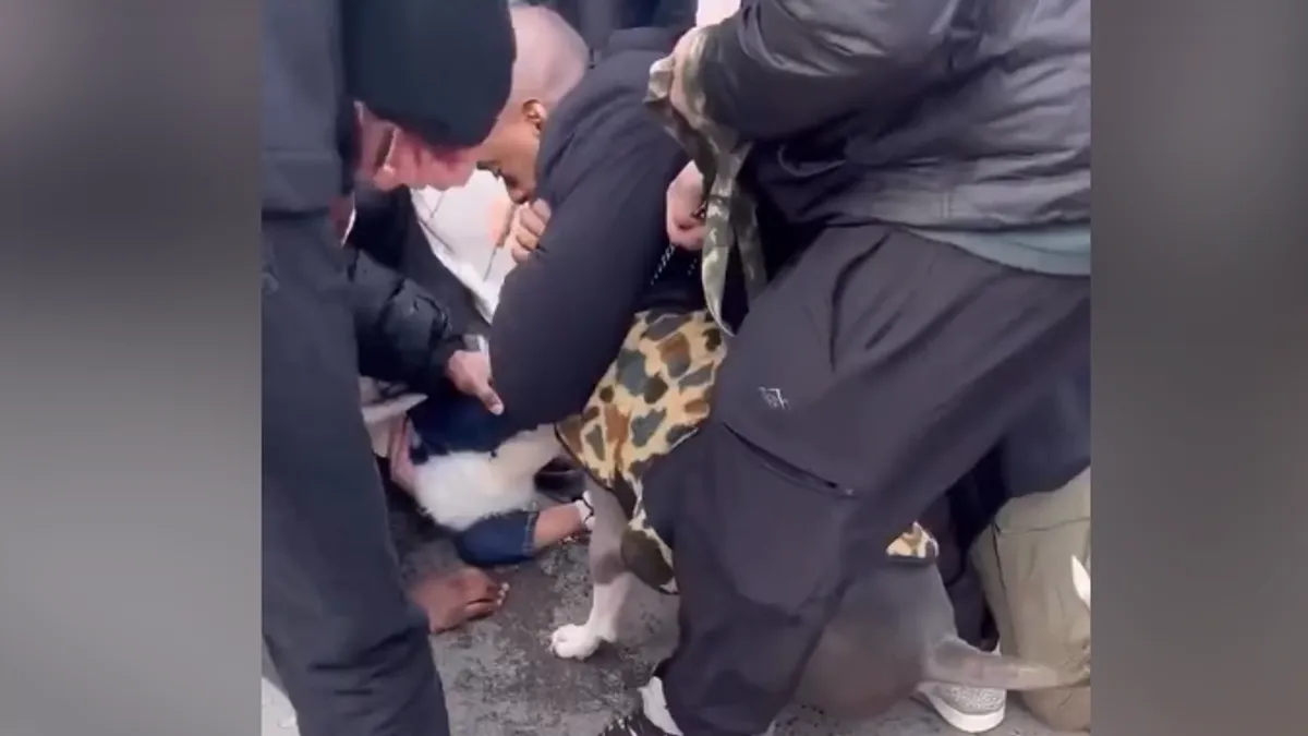 Reakcije na društvenim mrežama bile su brojne i oštre. Mnogi korisnici pozvali su na zabranu pitbullova ili obavezno nošenje brnjica u javnosti.