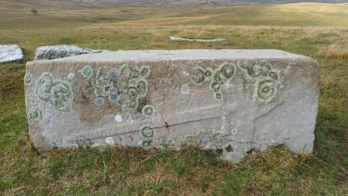 Na Pašinoj livadi, koja se nalazi na brdu iznad vrela Jakomira, na mjestu koje se zove Jakomir, nalazi se nekropola sa 35 stećaka 