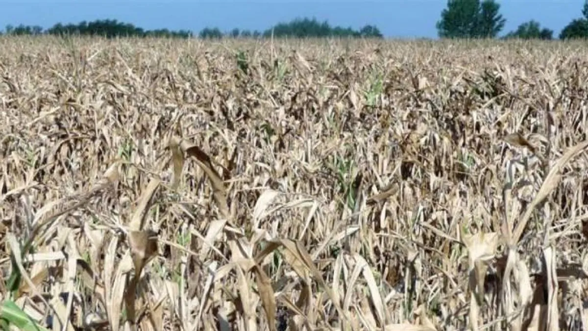 Ukupno pogođeno više od 1.500 domaćinstava                                