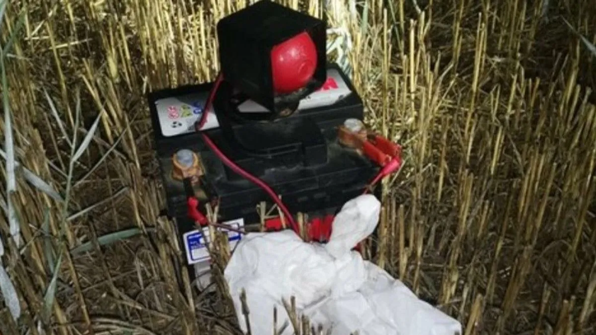 Prepelice se love kako bi se ilegalno odnijele preko granice, gdje se potom u restoranima poslužuju po višim cijenama ili ih jednostavno preprodaju. 