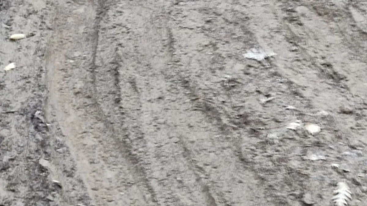 Zbog puta koji vodi do njihove kuće, već mjesecima su praktično odsječeni od svijeta.