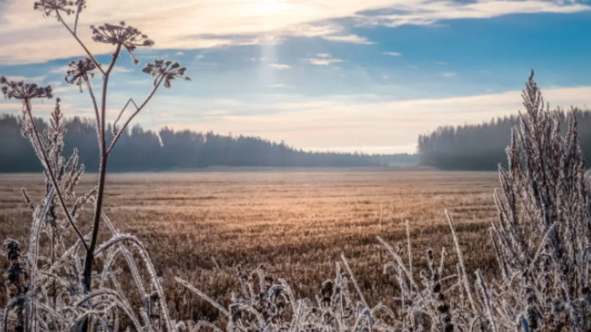 U Sarajevu umjereno do pretežno oblačno vrijeme. Jutro hladno, sa mrazom. Jutarnja temperatura oko -7, a dnevna oko -4 °C. 
