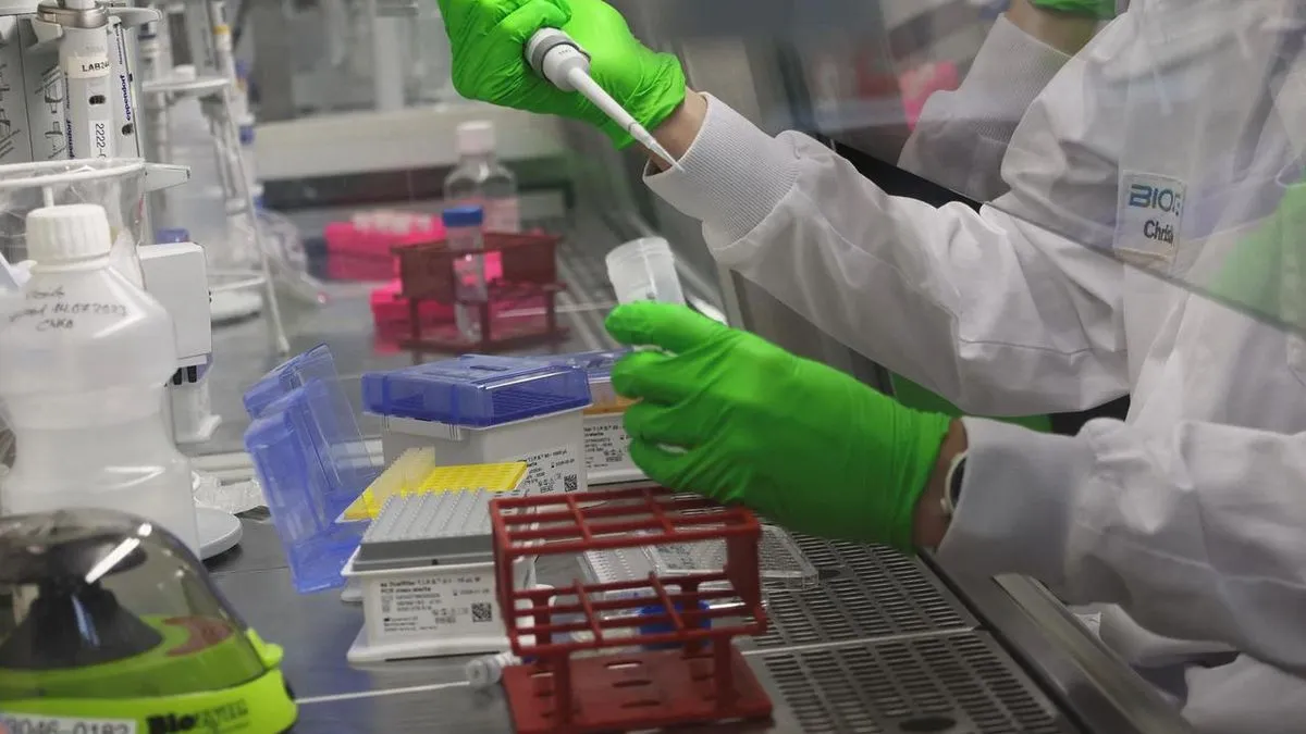 Znanstvenici napominju da dijagnoza infekcija Candida auris često kasni zbog pogrešne identifikacije, što dovodi do odgode u primjeni odgovarajuće terapije