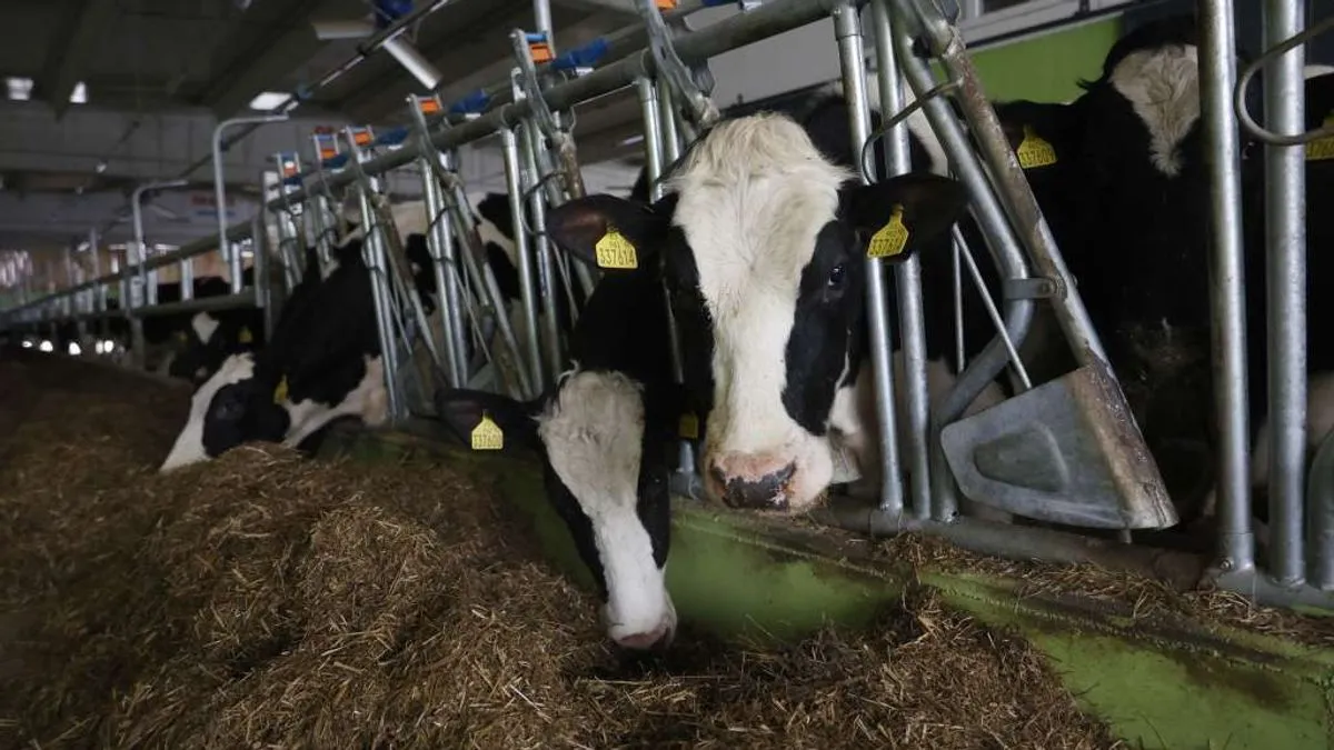 Više od 100 poljoprivrednika okupilo se danas ispred zgrade Općine Vogošća kako bi pokušali doći do rješenja za njihove probleme. A, previše ih je, vele nam. 