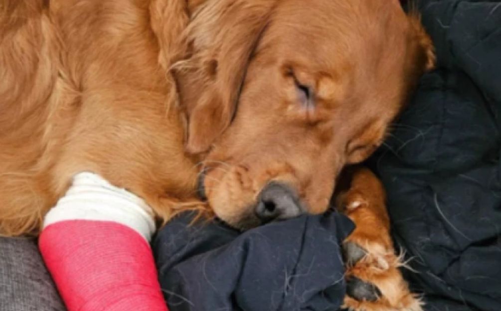 Većina njegovih stvari, uključujući telefon, ključeve, torbu i oružje, bila je unutra