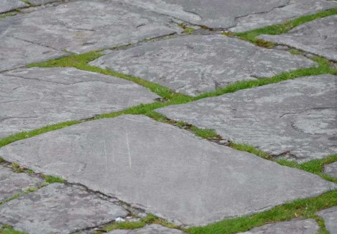 Imajte na umu da je natrijum-hlorid vrlo toksičan za sve biljke, zbog čega pri njegovoj primjeni treba biti oprezan