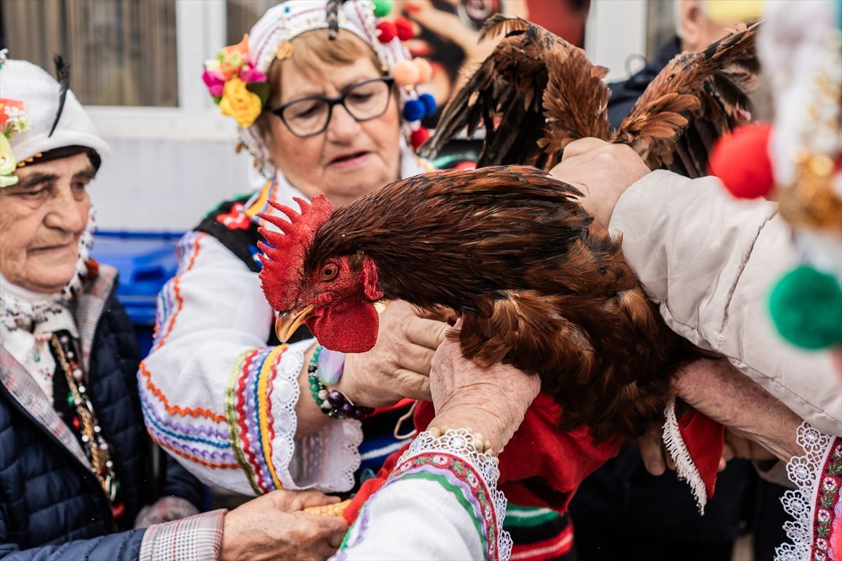 
Proslava Dana pijetla - Petljovden, kada ljudi žrtvuju pijetlove, narodni je praznik u Bugarskoj koji se obilježava 2. februara i posvećen je zdravlju i plodnosti muškog potomstva