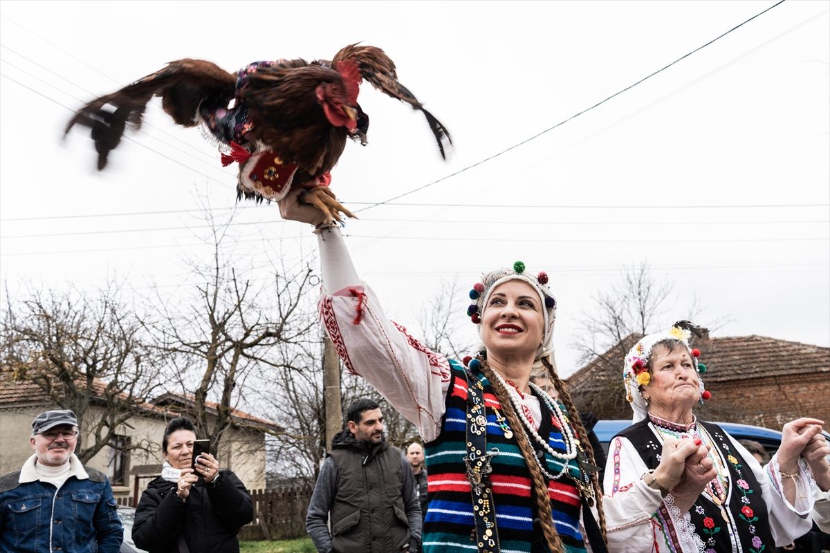 
Proslava Dana pijetla - Petljovden, kada ljudi žrtvuju pijetlove, narodni je praznik u Bugarskoj koji se obilježava 2. februara i posvećen je zdravlju i plodnosti muškog potomstva