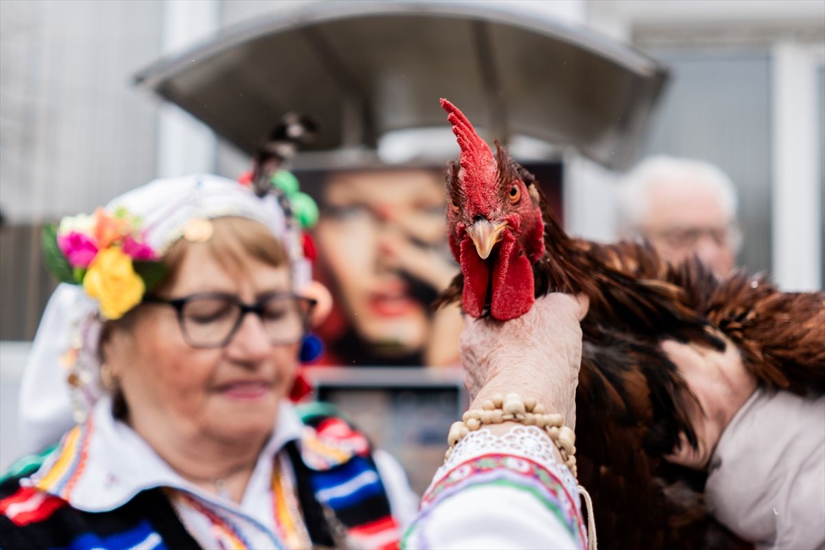 
Proslava Dana pijetla - Petljovden, kada ljudi žrtvuju pijetlove, narodni je praznik u Bugarskoj koji se obilježava 2. februara i posvećen je zdravlju i plodnosti muškog potomstva