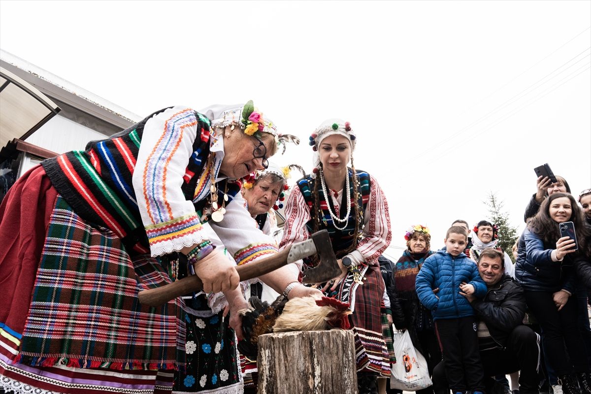 
Proslava Dana pijetla - Petljovden, kada ljudi žrtvuju pijetlove, narodni je praznik u Bugarskoj koji se obilježava 2. februara i posvećen je zdravlju i plodnosti muškog potomstva