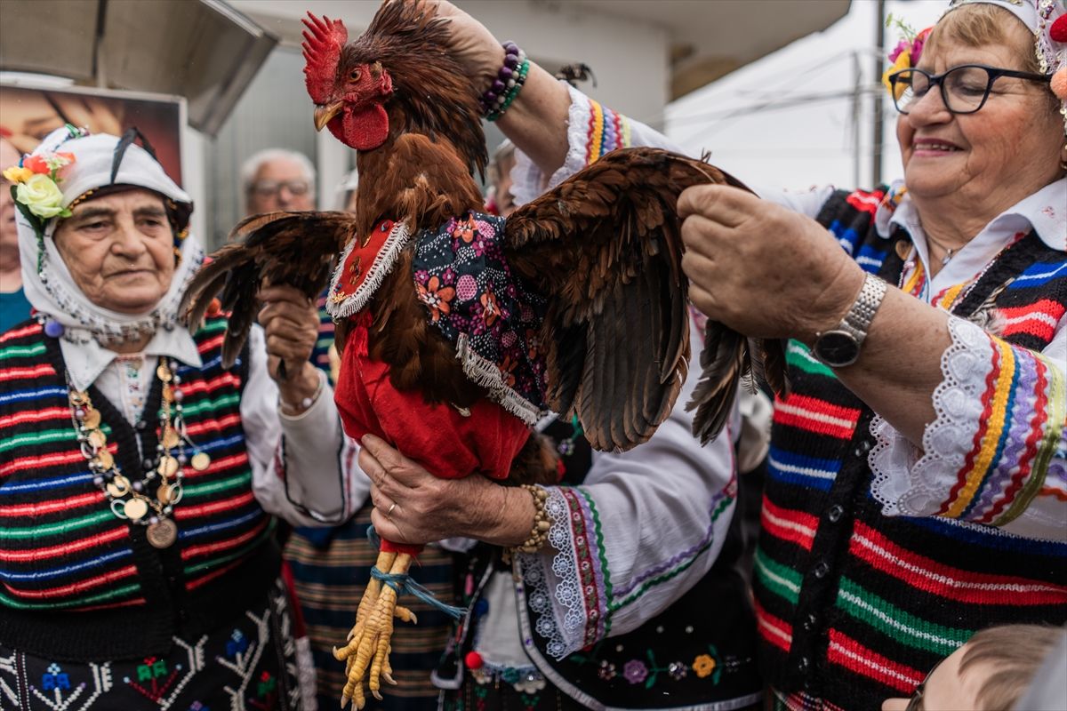 
Proslava Dana pijetla - Petljovden, kada ljudi žrtvuju pijetlove, narodni je praznik u Bugarskoj koji se obilježava 2. februara i posvećen je zdravlju i plodnosti muškog potomstva