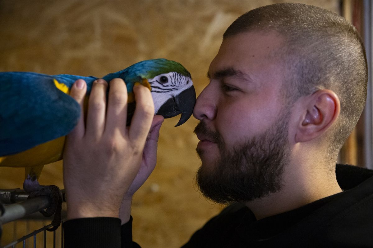 Ideja o zoološkom vrtu se rodila nakon što je Melvis Lokvančić na poklon dobio jelena Bambija, po kojem vrt i nosi ime
