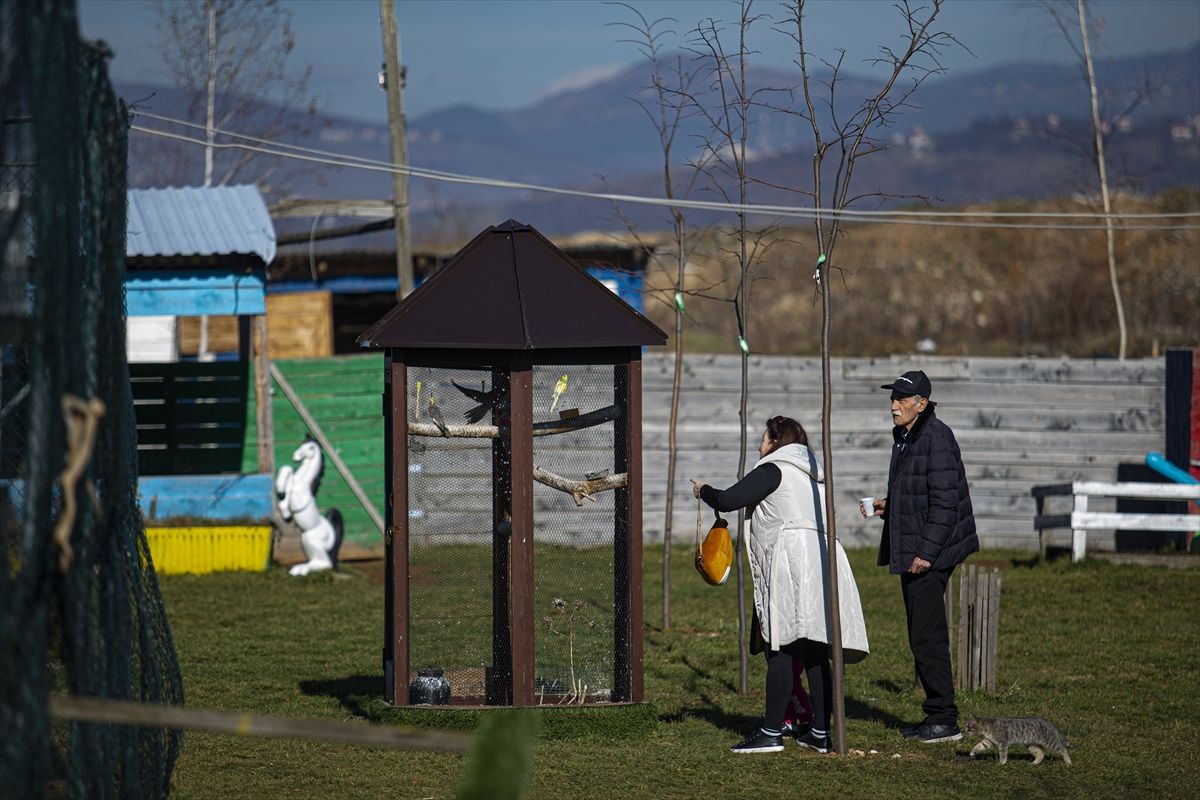 Ideja o zoološkom vrtu se rodila nakon što je Melvis Lokvančić na poklon dobio jelena Bambija, po kojem vrt i nosi ime
