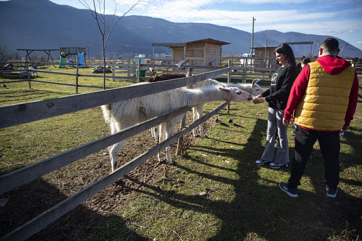 Ideja o zoološkom vrtu se rodila nakon što je Melvis Lokvančić na poklon dobio jelena Bambija, po kojem vrt i nosi ime
