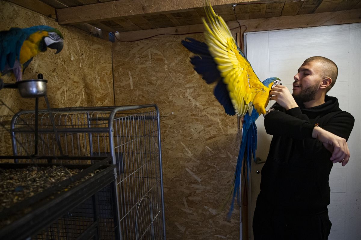 Ideja o zoološkom vrtu se rodila nakon što je Melvis Lokvančić na poklon dobio jelena Bambija, po kojem vrt i nosi ime
