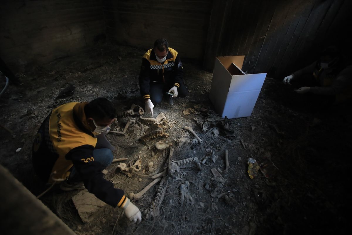 Ammar Salmo iz Civilne odbrane naveo je da su ekipe, koje su do zgrade stigle po dojavi jednog građanina, pronašle posmrtne ostatke