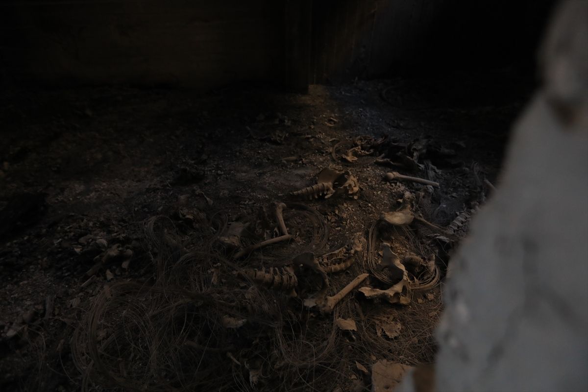 Ammar Salmo iz Civilne odbrane naveo je da su ekipe, koje su do zgrade stigle po dojavi jednog građanina, pronašle posmrtne ostatke