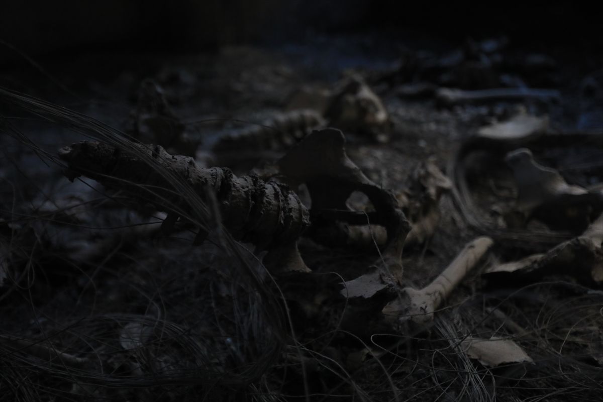 Ammar Salmo iz Civilne odbrane naveo je da su ekipe, koje su do zgrade stigle po dojavi jednog građanina, pronašle posmrtne ostatke