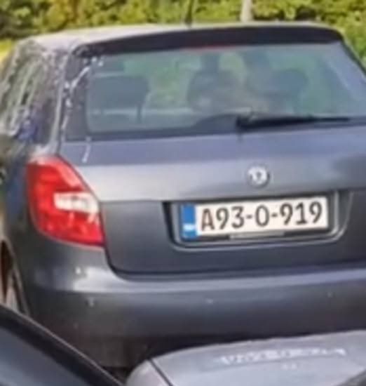 Sve policijske agencije u Bosni i Hercegovini usmjerile su svoje resurse u rješavanje ovog slučaja.