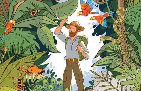 Logičke igre treniraju vaš mozak da sagleda različite pristupe rješavanju problema