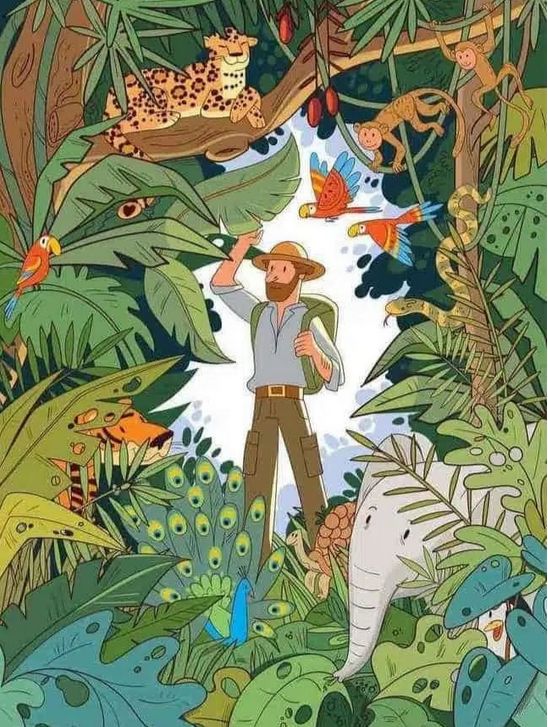 Možete li pronaći pingvina skrivenog u džungli?