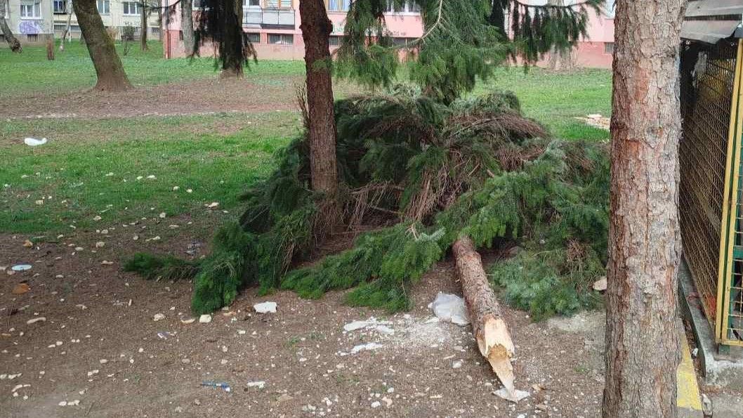 Sutra nas u Bosni i Hercegovini očekuje pretežno oblačno vrijeme sa kišom i pljuskovima   