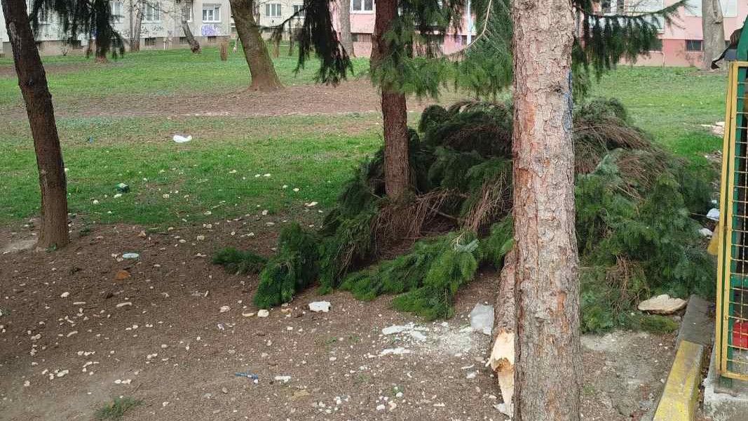 Budite oprezni: Vjetar lomio grane u Sarajevu