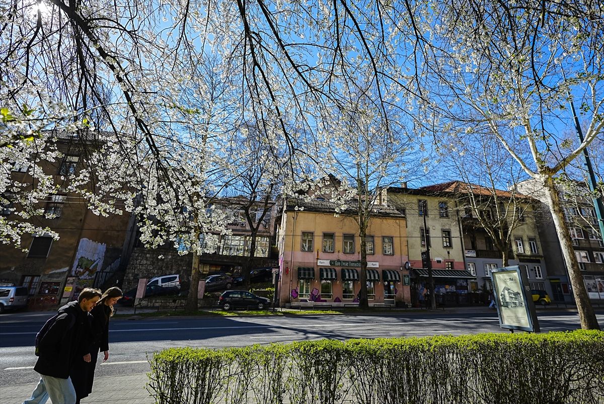 Proljeće se vratilo u Sarajevo: Pogledajte bajkovite prizore