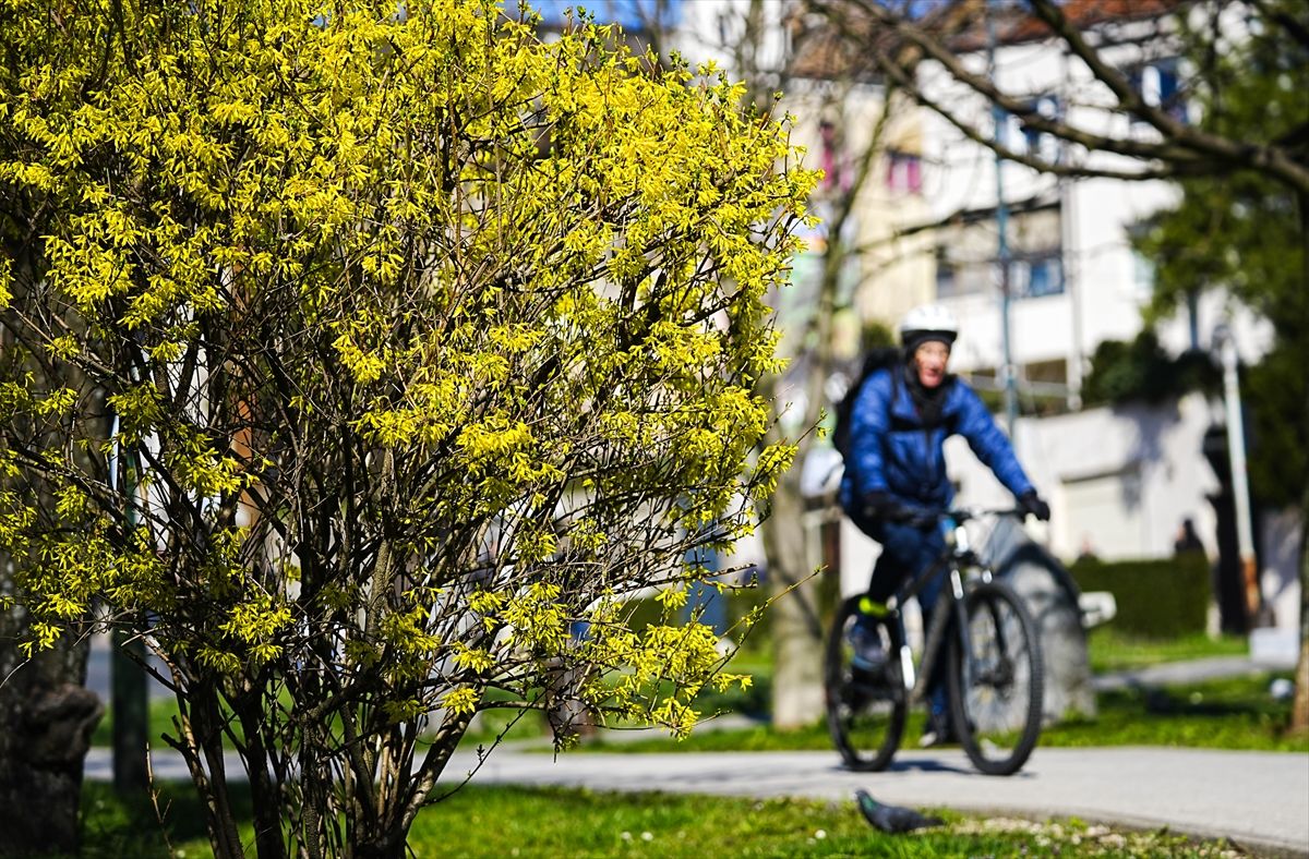 Proljeće se vratilo u Sarajevo: Pogledajte bajkovite prizore
