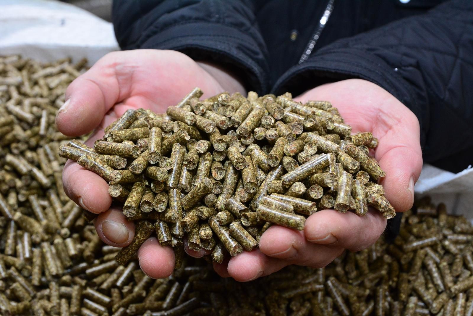 U Bosni i Hercegovini i ove je godine velika potražnja za peletom, a s rastom potražnje rastu i cijene. 