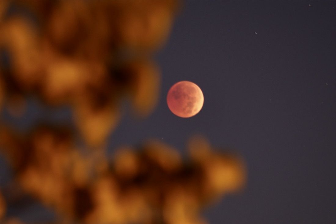 Stiže nam 'krvavi' Mjesec: Evo šta trebate znati o ovom kosmičkom spektaklu 