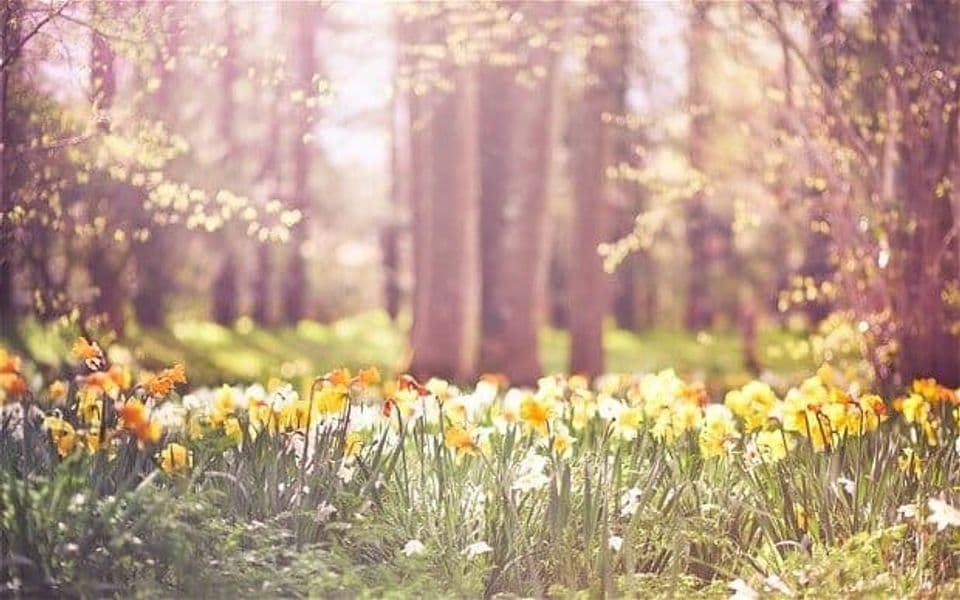 Jutros je u našoj zemlji bilo sunčano vrijeme uz malu do umjerenu oblačnost.