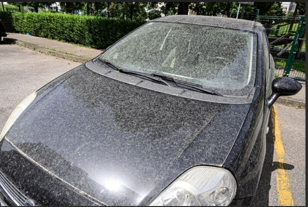 Ovisno o ruži vjetrova područje Bosne i Hercegovine može biti izloženo pijesku iz Afrike, koji u kombinaciji s kišom stvara naslage sitne prašine na automobilu