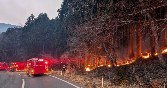 Oko 2.000 vatrogasaca u Japanu bori se sa najvećim šumskim požarom koji je zadesio ovu zemlju u poslednje tri decenije.